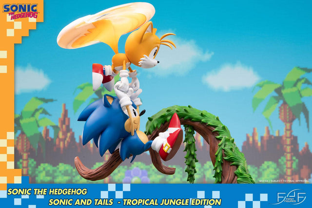 Sonic the Hedgehog – Sonic and Tails Tropical Jungle Edition (s_t_jungle_h11.jpg)