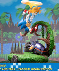 Sonic the Hedgehog – Sonic and Tails Tropical Jungle Edition (s_t_jungle_h13.jpg)