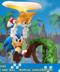 Sonic the Hedgehog – Sonic and Tails Tropical Jungle Edition (s_t_jungle_h14.jpg)