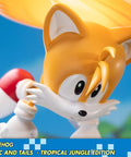 Sonic the Hedgehog – Sonic and Tails Tropical Jungle Edition (s_t_jungle_h15.jpg)