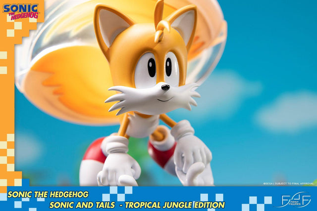 Sonic the Hedgehog – Sonic and Tails Tropical Jungle Edition (s_t_jungle_h17.jpg)