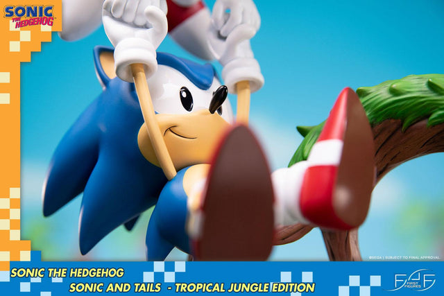 Sonic the Hedgehog – Sonic and Tails Tropical Jungle Edition (s_t_jungle_h18.jpg)