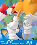 Sonic the Hedgehog – Sonic and Tails Tropical Jungle Edition (s_t_jungle_h23.jpg)