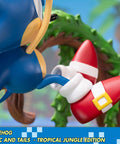 Sonic the Hedgehog – Sonic and Tails Tropical Jungle Edition (s_t_jungle_h24.jpg)