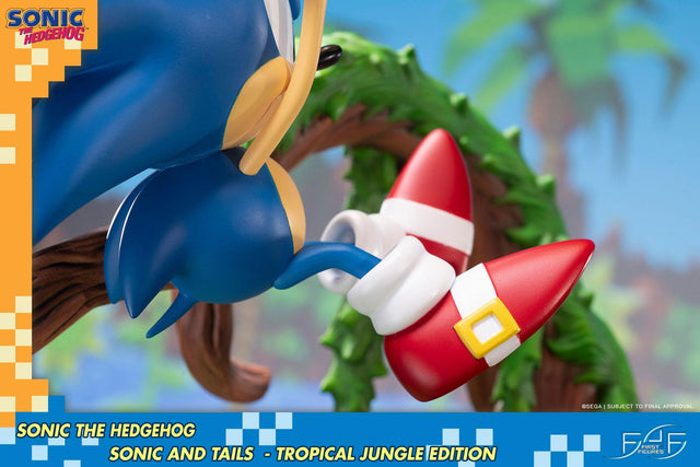 Sonic the Hedgehog – Sonic and Tails Tropical Jungle Edition (s_t_jungle_h24.jpg)