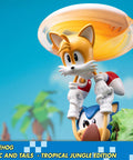 Sonic the Hedgehog – Sonic and Tails Tropical Jungle Edition (s_t_jungle_h27.jpg)