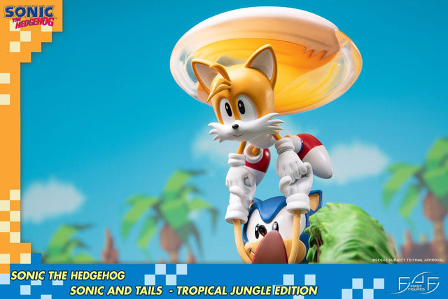 Sonic the Hedgehog – Sonic and Tails Tropical Jungle Edition (s_t_jungle_h27.jpg)