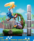 Sonic the Hedgehog – Sonic and Tails Tropical Jungle Edition (s_t_jungle_h33.jpg)