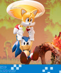 Sonic the Hedgehog – Sonic and Tails Standard Edition (s_t_stn_h01.jpg)