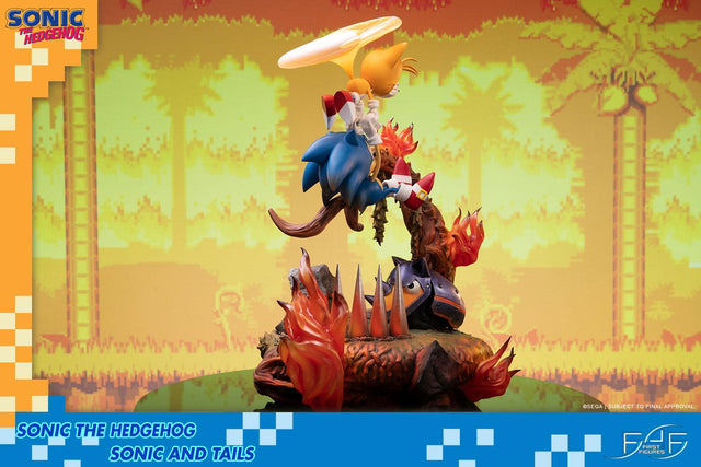 Sonic the Hedgehog – Sonic and Tails Standard Edition (s_t_stn_h06.jpg)