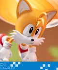Sonic the Hedgehog – Sonic and Tails Standard Edition (s_t_stn_h10.jpg)