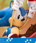 Sonic the Hedgehog – Sonic and Tails Standard Edition (s_t_stn_h11.jpg)