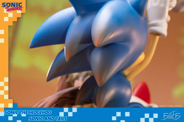 Sonic the Hedgehog – Sonic and Tails Standard Edition (s_t_stn_h13.jpg)