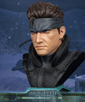 Metal Gear Solid - Solid Snake Life-Size Bust (Standard LSB) (snakebust-lsb_st_11.jpg)