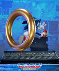 Sonic the Hedgehog 30th Anniversary (Exclusive) (sonic30_ex-04.jpg)