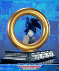 Sonic the Hedgehog 30th Anniversary (Exclusive) (sonic30_ex-05.jpg)