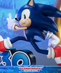 Sonic the Hedgehog 30th Anniversary (Exclusive) (sonic30_ex-10.jpg)