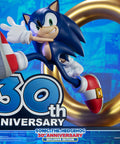 Sonic the Hedgehog 30th Anniversary (Exclusive) (sonic30_ex-12.jpg)