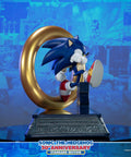 Sonic the Hedgehog 30th Anniversary (Standard) (sonic30_st-02.jpg)