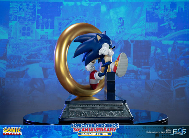 Sonic the Hedgehog 30th Anniversary (Standard) (sonic30_st-02.jpg)