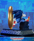 Sonic the Hedgehog 30th Anniversary (Standard) (sonic30_st-03.jpg)