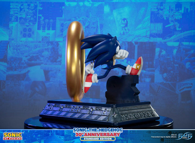Sonic the Hedgehog 30th Anniversary (Standard) (sonic30_st-03.jpg)