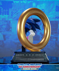 Sonic the Hedgehog 30th Anniversary (Standard) (sonic30_st-06.jpg)