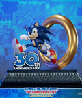 Sonic the Hedgehog 30th Anniversary (Standard) (sonic30_st-08.jpg)