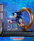 Sonic the Hedgehog 30th Anniversary (Standard) (sonic30_st-09.jpg)