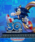 Sonic the Hedgehog 30th Anniversary (Standard) (sonic30_st-10.jpg)