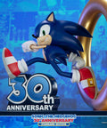 Sonic the Hedgehog 30th Anniversary (Standard) (sonic30_st-12.jpg)