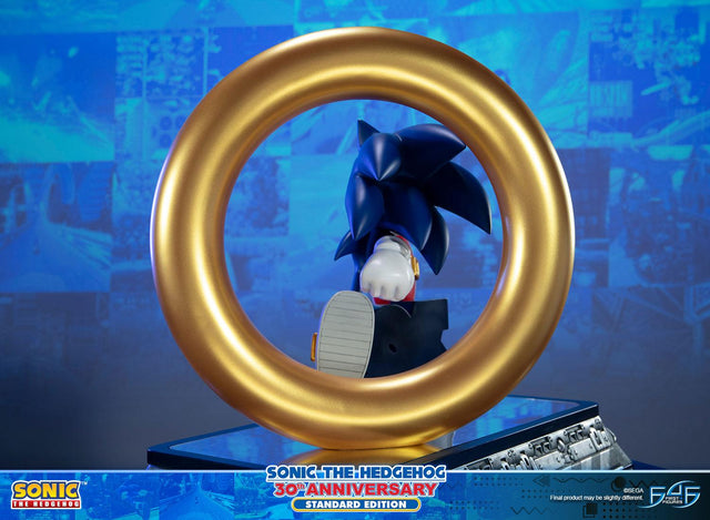 Sonic the Hedgehog 30th Anniversary (Standard) (sonic30_st-13.jpg)