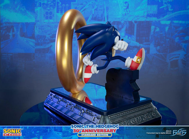 Sonic the Hedgehog 30th Anniversary (Standard) (sonic30_st-14.jpg)