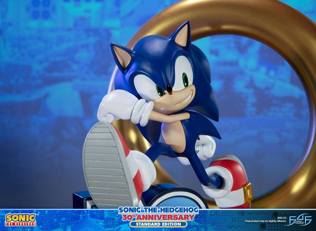Sonic the Hedgehog 30th Anniversary (Standard) (sonic30_st-15.jpg)