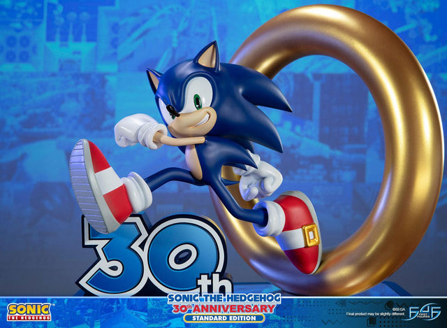 Sonic the Hedgehog 30th Anniversary (Standard) (sonic30_st-16.jpg)