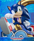 Sonic the Hedgehog 30th Anniversary (Standard) (sonic30_st-18.jpg)