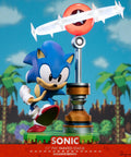 Sonic the Hedgehog: Sonic Exclusive Edition (sonic_exc_h01.jpg)
