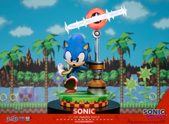 Sonic the Hedgehog: Sonic Exclusive Edition (sonic_exc_h03.jpg)