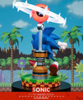 Sonic the Hedgehog: Sonic Exclusive Edition (sonic_exc_h08.jpg)
