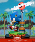 Sonic the Hedgehog: Sonic Exclusive Edition (sonic_exc_h10.jpg)