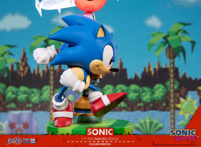 Sonic the Hedgehog: Sonic Exclusive Edition (sonic_exc_h11.jpg)