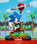 Sonic the Hedgehog: Sonic Exclusive Edition (sonic_exc_h14.jpg)