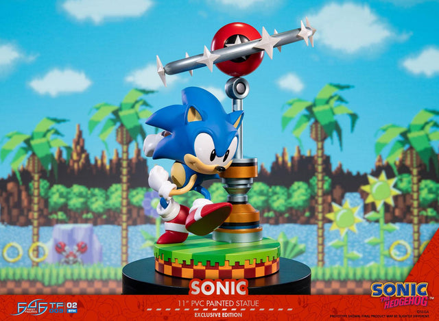 Sonic the Hedgehog: Sonic Exclusive Edition (sonic_exc_h14.jpg)