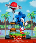 Sonic the Hedgehog: Sonic Exclusive Edition (sonic_exc_h17.jpg)