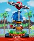 Sonic the Hedgehog: Sonic Exclusive Edition (sonic_exc_h19.jpg)