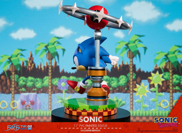Sonic the Hedgehog: Sonic Exclusive Edition (sonic_exc_h19.jpg)