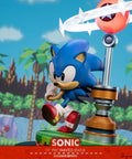 Sonic the Hedgehog: Sonic Exclusive Edition (sonic_exc_h21.jpg)