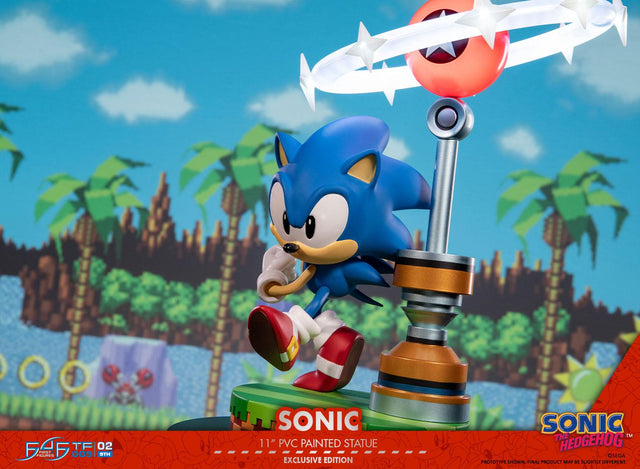 Sonic the Hedgehog: Sonic Exclusive Edition (sonic_exc_h21.jpg)