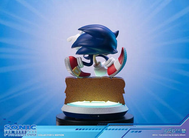 Sonic Adventure - Sonic the Hedgehog PVC (Collector's Edition) (sonicavt_ce_04.jpg)