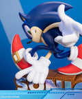 Sonic Adventure - Sonic the Hedgehog PVC (Collector's Edition) (sonicavt_ce_12.jpg)